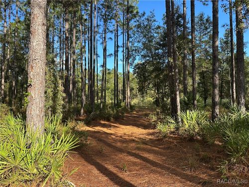 3960 N Buckhorn Dr, Beverly Hills, FL, 34465-5600 | Card Image