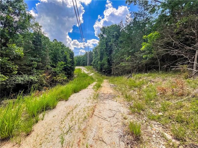 View of road featuring a wooded view | Image 23