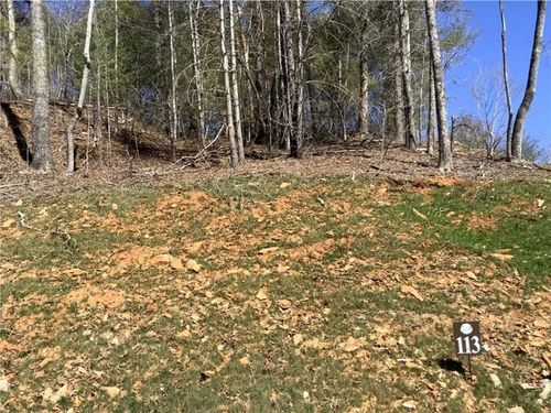 Lot113 High River Crsg, Ellijay, GA, 30540 | Card Image