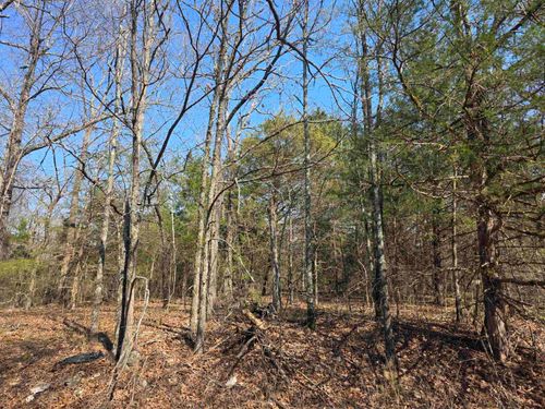 L3 B2 Inca Trace, Cherokee Village, AR, 72529 | Card Image