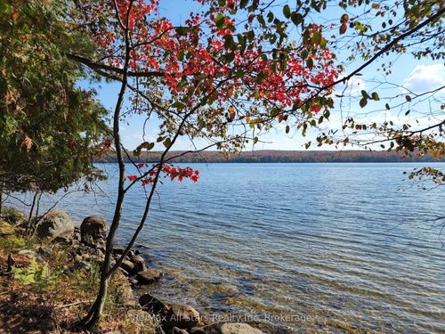 504 Bigwin Island, Dwight, ON, P0A1H0 | Card Image