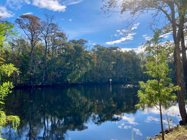 553 Honeyhill Loop, House other with 3 bedrooms, 2 bathrooms and 4 parking in Conway SC | Image 39