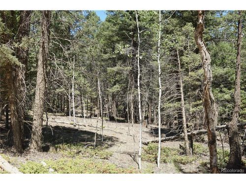 616 Indian Creek Rd, Florissant, CO, 80816-7050 | Card Image