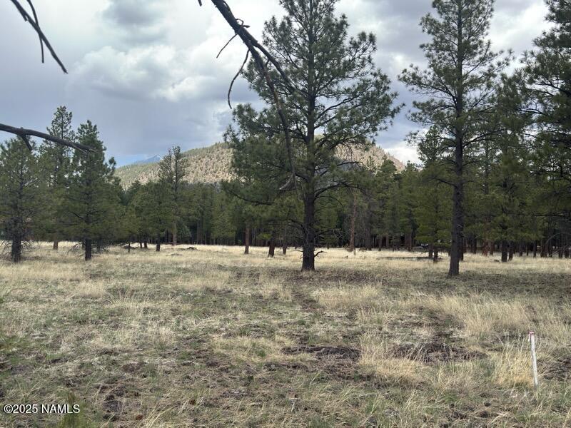 Land in Flagstaff 3