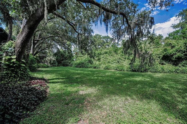 View from back patio | Image 34