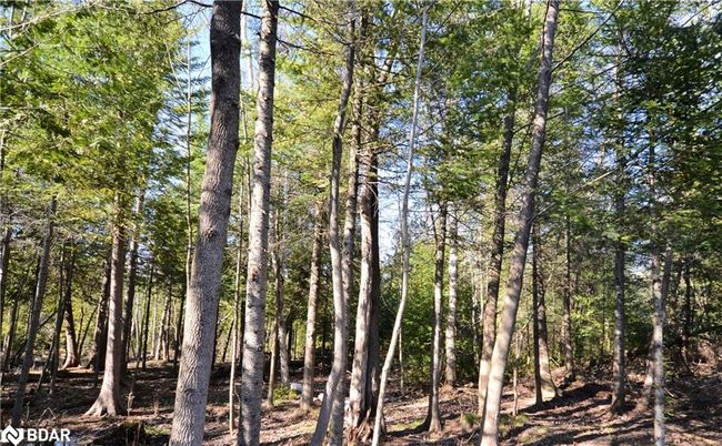 21 Red Pine Cres, House other with 2 bedrooms, 2 bathrooms and 6 parking in Wasaga Beach ON | Image 4