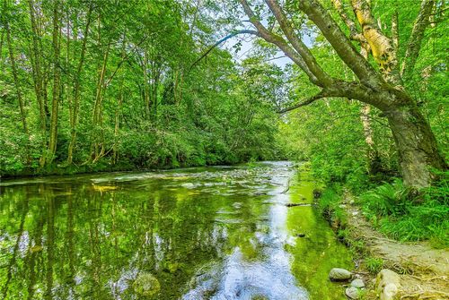 153 Strait View Dr, Port Angeles, WA, 98362-9156 | Card Image