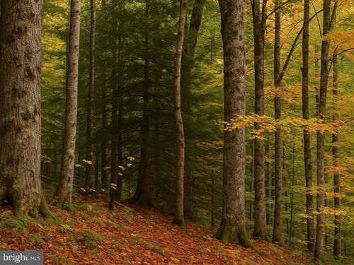 35296 Diplomat, MECHANICSVILLE, MD, 20659 | Card Image