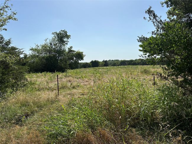 View of nature featuring rural landscape | Image 10