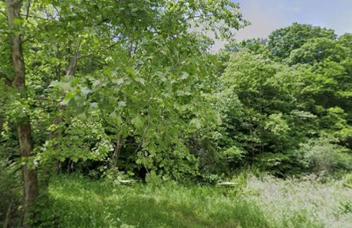 0 Cabin Branch Rd, Rock, WV, 24747 | Card Image