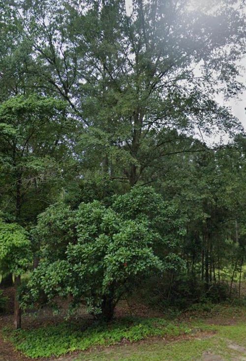 429 Lindsey St, Daingerfield, TX, 75638-2135 | Card Image