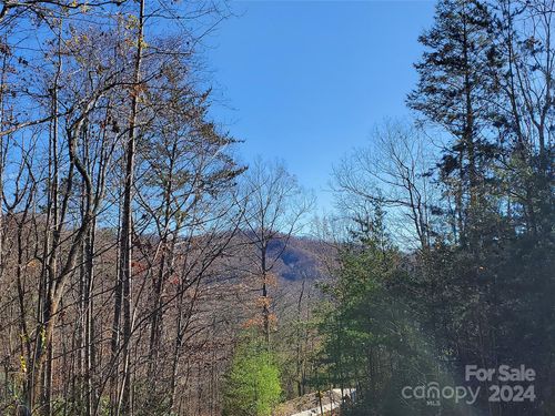 41-336 Falling Leaves Ln, Hendersonville, NC, 28792 | Card Image