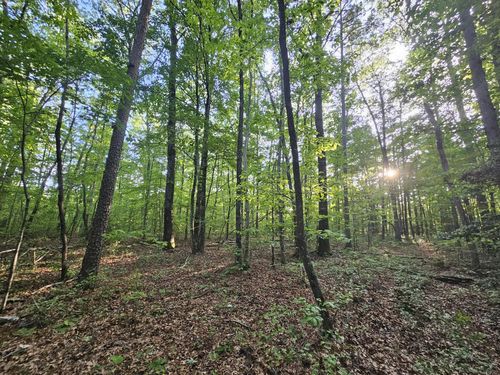 3 Savage Highland Dr, Coalmont, TN, 37313-7952 | Card Image