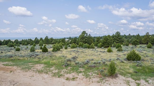 Lot 4 Sunset Ridge Road, Home with 0 bedrooms, 0 bathrooms and null parking in Newcastle WY | Image 8