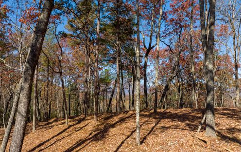 LOT 39 Preserve Trail, Ellijay, GA, 30536 | Card Image