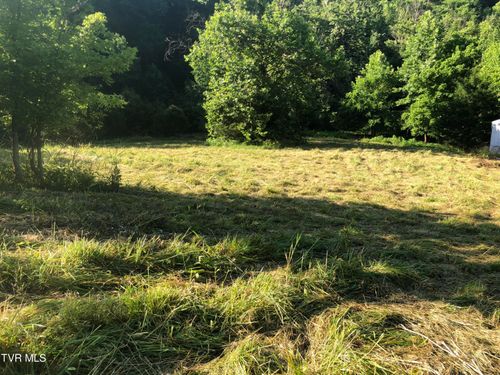 Tbd Gottland Shoals Rd, Blountville, TN, 37617 | Card Image