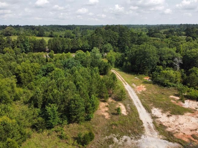 0000 State Highway 43 E, Home with 0 bedrooms, 0 bathrooms and null parking in Tatum TX | Image 6