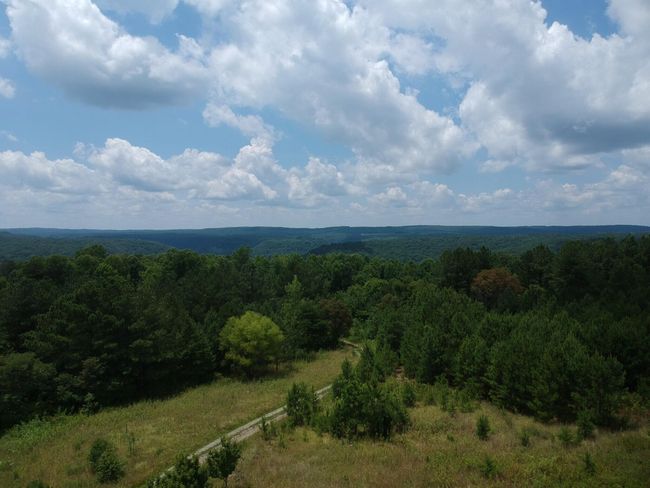 5199 Burkett Chapel Rd, Home with 4 bedrooms, 2 bathrooms and null parking in Whitwell TN | Image 14