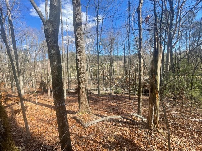 00 Academy Rd, Home with 0 bedrooms, 0 bathrooms and null parking in Mountain Rest SC | Image 32