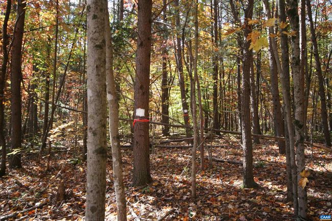 1367 S Constitution Rte, House other with 4 bedrooms, 1 bathrooms and null parking in DILLWYN VA | Image 40
