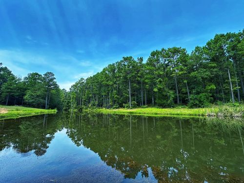 3055 County Road 274, Buffalo, TX, 75831-4606 | Card Image