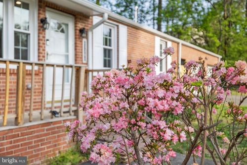 17360 Tripoli Blvd, DUMFRIES, VA, 22026-2224 | Card Image