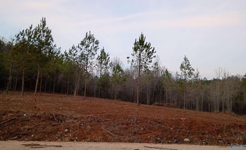 Tract 2 County Road 176, Piedmont, AL, 36272 | Card Image