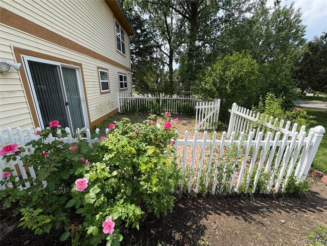 BACKYARD AREA.jpg | Image 14