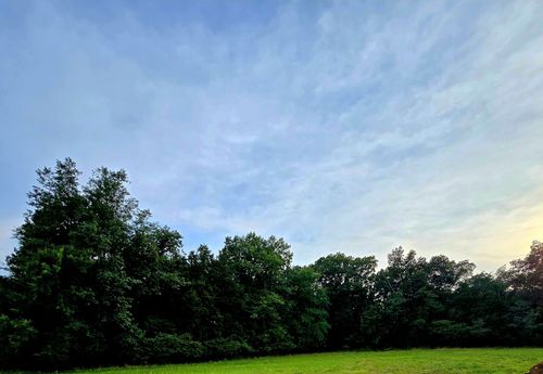 0 Nashville Hwy, Lewisburg, TN, 37091 | Card Image