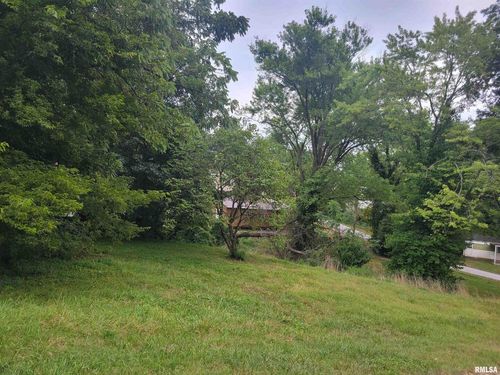 TBD N J St, Jonesboro, IL, 62952 | Card Image