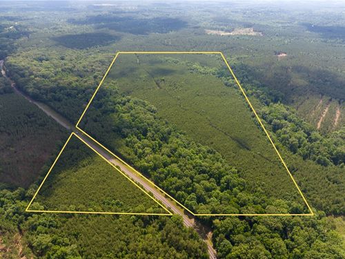 1 Highway 126, Olla, LA, 71465 | Card Image