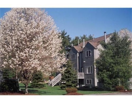 40-40 Tisdale Dr, Dover, MA, 02030-1600 | Card Image