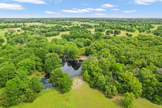 Private pond | Image 16