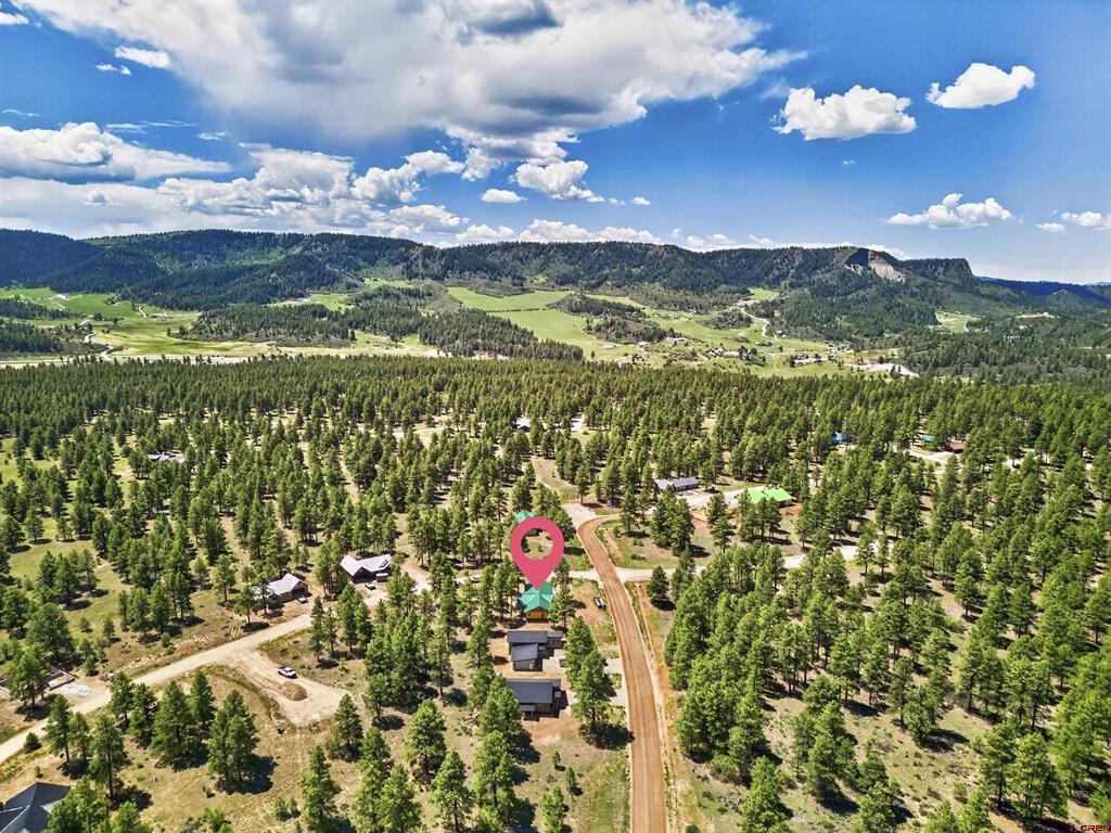 Residential in Pagosa Springs 4
