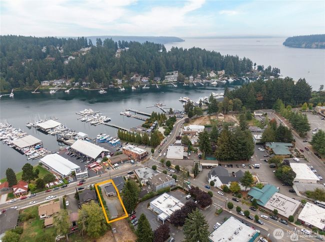 showing across the Harbor | Image 5