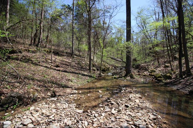 361 Rim Shoals Ln, House other with 2 bedrooms, 1 bathrooms and null parking in Mountain Home AR | Image 24