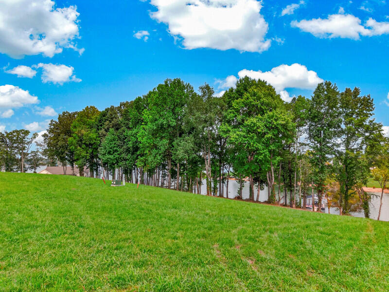 Land in White Pine 5