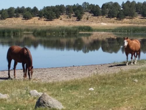 0 Sprague River Highway, Sprague River, OR, 97639 | Card Image