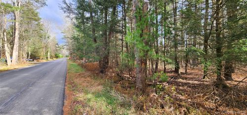 00 Mongaup Road, Thompson, NY, 12701 | Card Image