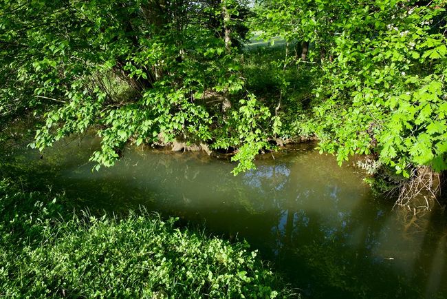 40.46AC Barker Cove Loop, Home with 1 bedrooms, 1 bathrooms and null parking in Palmer TN | Image 29
