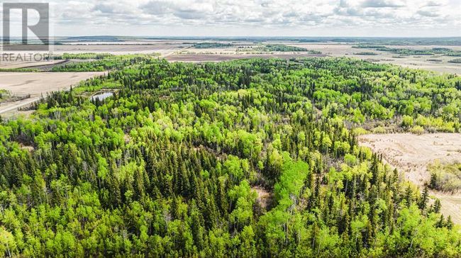 98196 Highway 681, Home with 0 bedrooms, 0 bathrooms and null parking in Rural Saddle Hills County AB | Image 10