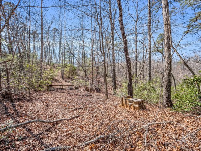 21-24-AND-25 - 000 Forester Ln, Home with 0 bedrooms, 0 bathrooms and null parking in Mill Spring NC | Image 9