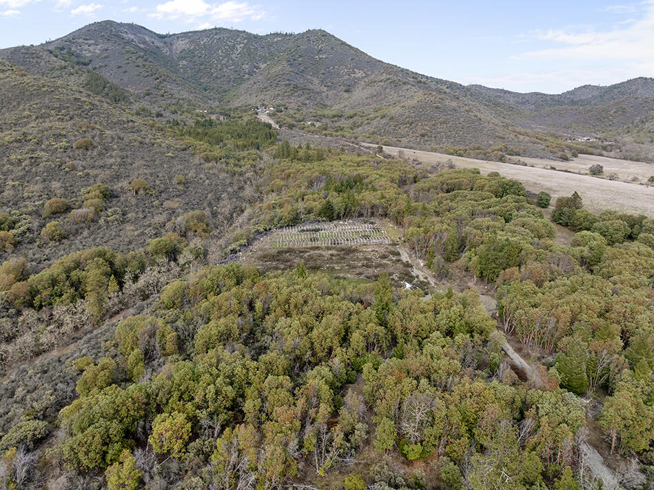 Land in Grants Pass 5