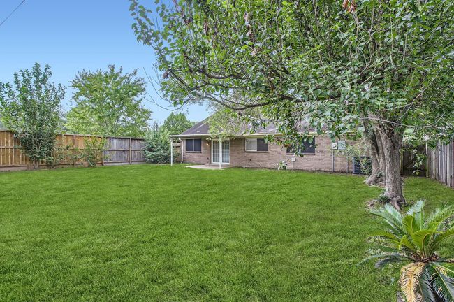 Backyard | Image 20