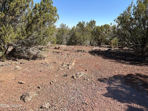 lot Cr 3189, Vernon, AZ, 85940 | Card Image