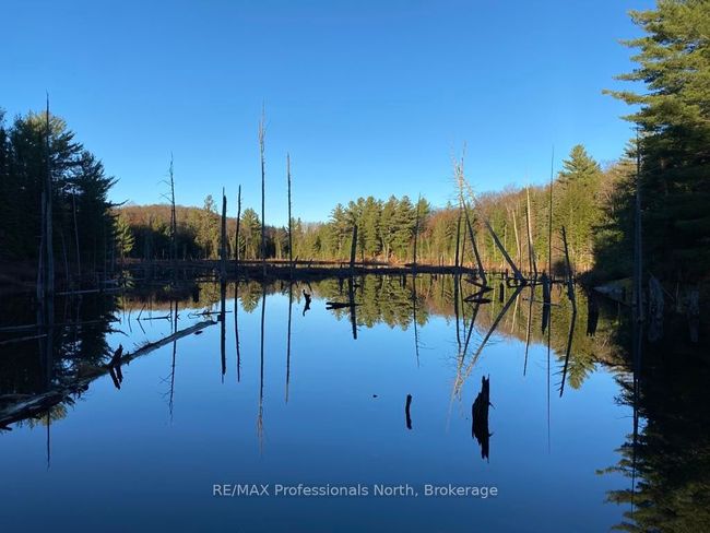24430 Highway 35 Highway, House other with 2 bedrooms, 1 bathrooms and 4 parking in Lake of Bays ON | Image 40