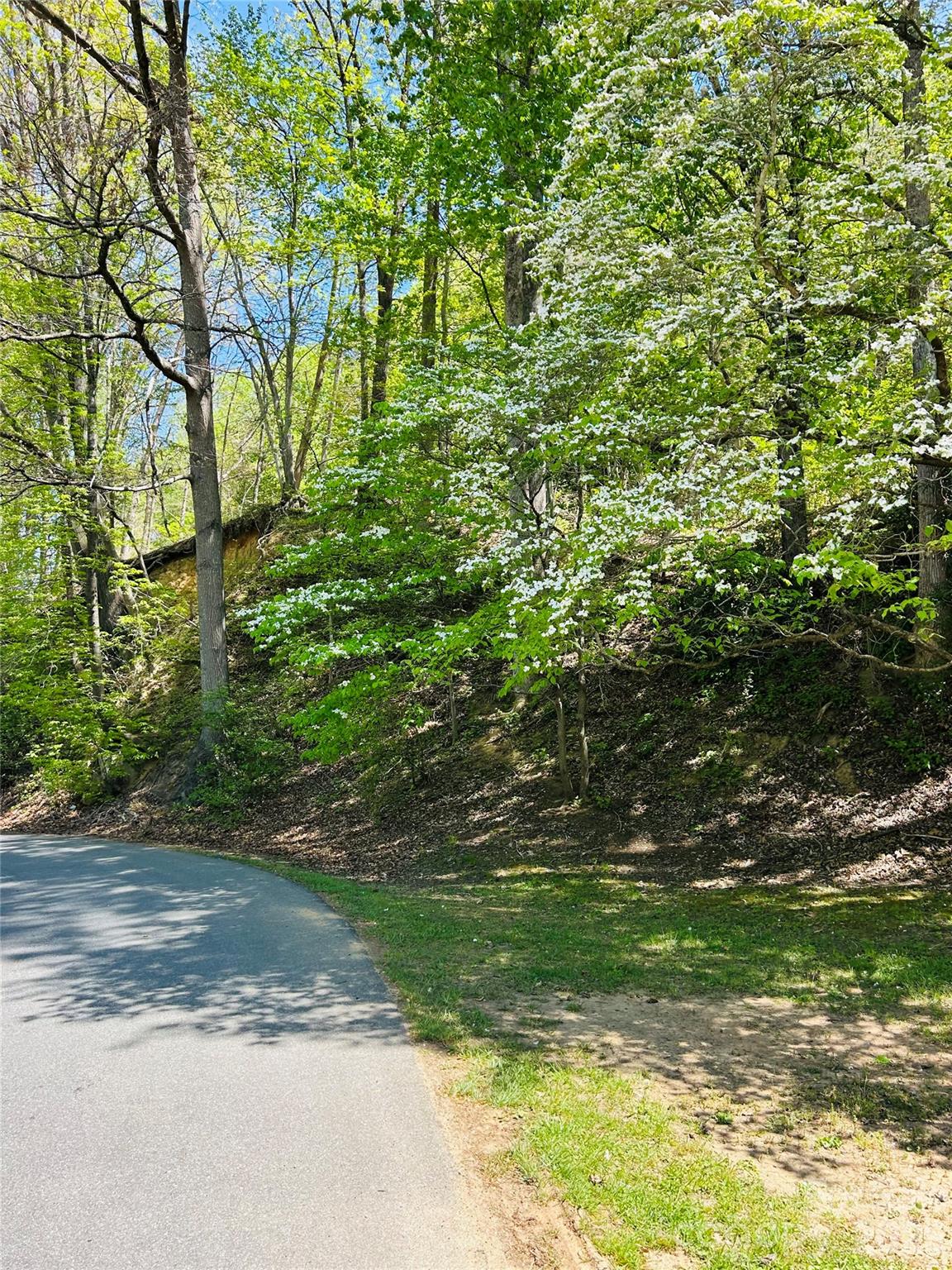 Land in Old Fort 3