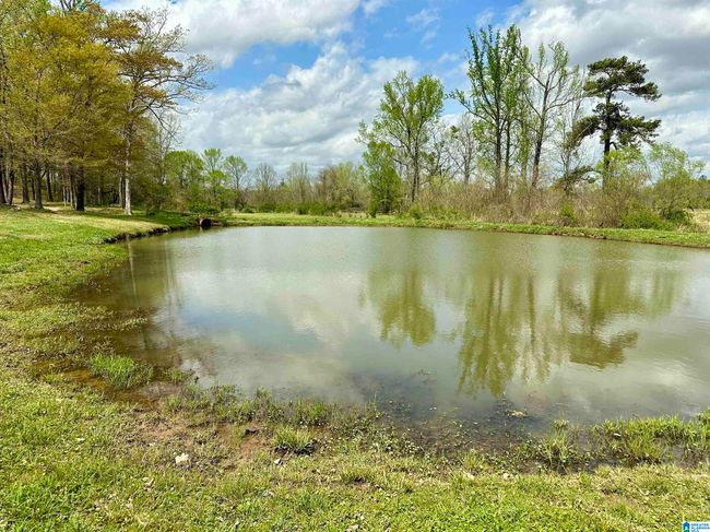 12325 Us Highway 411 N, House other with 3 bedrooms, 3 bathrooms and null parking in Centre AL | Image 41