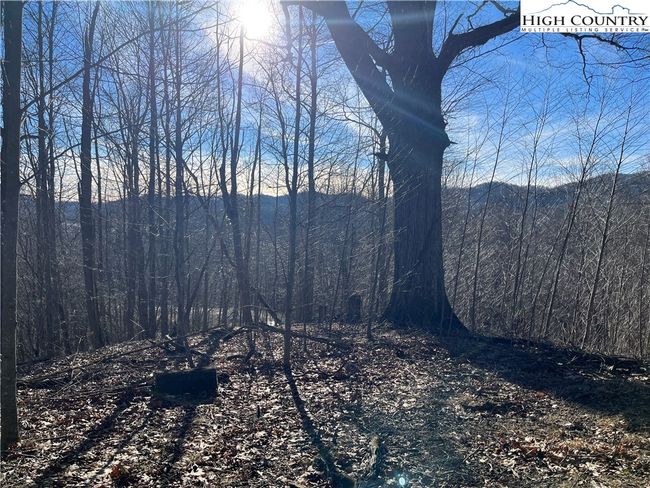 33 Paradise Valley Circle, Home with 0 bedrooms, 0 bathrooms and null parking in Creston NC | Image 8