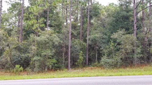 9239 N Irondale Rd, DUNNELLON, FL, 34434 | Card Image